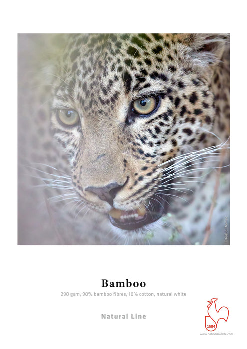 Hahnemühle Bamboo Natural Line FineArt Inkjet Paper 290, 8.5" x 11" - 25 Sheets