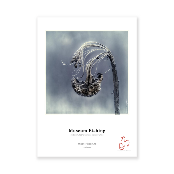 Hahnemühle Museum Etching FineArt Textured Matte Inkjet Paper 350gsm, 8.5 x 11" - 25 Sheets