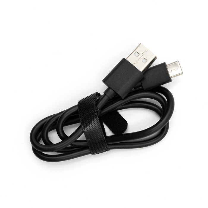 ProMaster Li-ion Battery for Lumix DMW-BLC12 with USB-C Charging