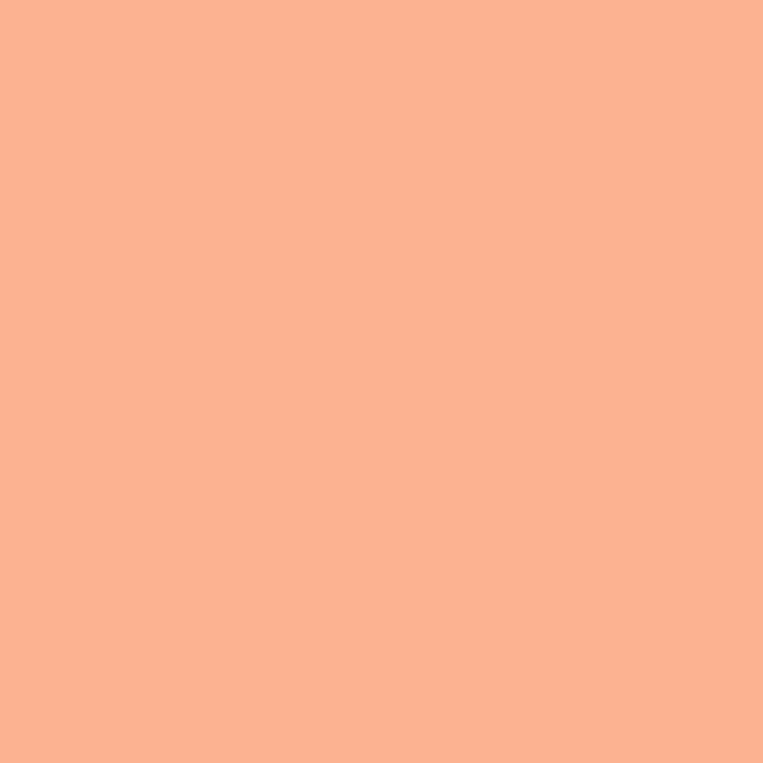 LEE Filters 237 C.I.D. (to Tungsten) Lighting Filter Roll, 48" x 25'