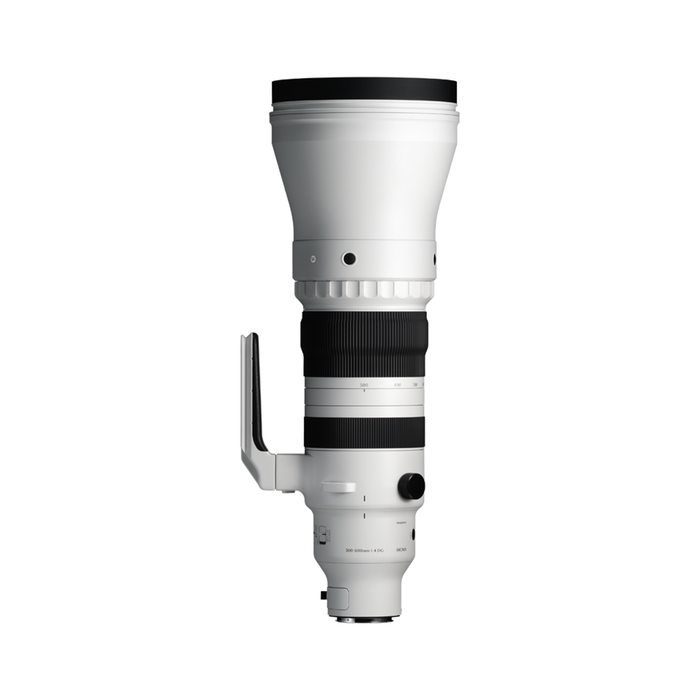 Sigma 300-600mm f/4 DG OS Sports Lens - L Mount