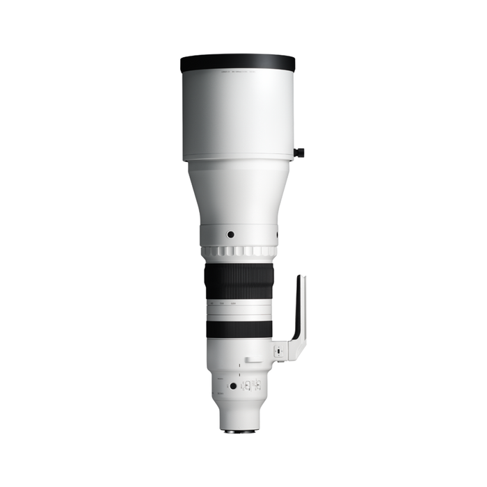 Sigma 300-600mm f/4 DG OS Sports Lens - L Mount