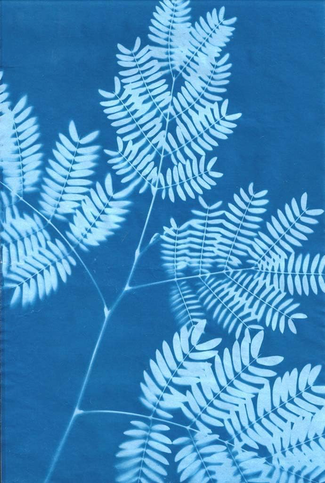 Super Sunprint Kit, 8 x 12” - 15 Sheets & 1 Acrylic Overlay
