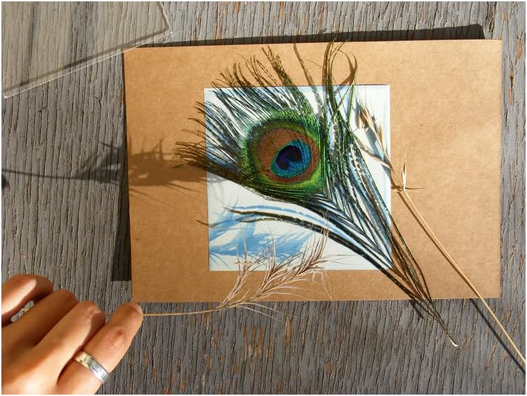Sunprint Kit, 4 x 4” - 12 Sheets & 1 Acrylic Overlay
