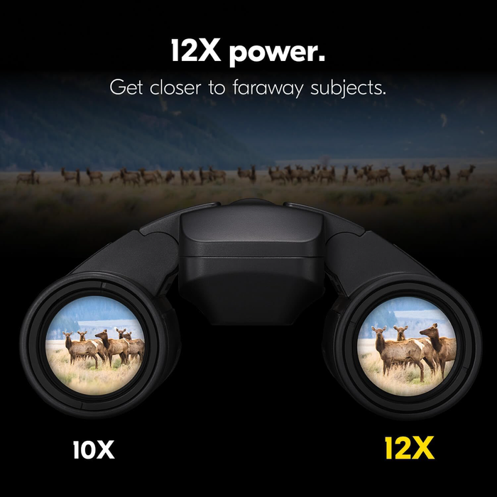 Nikon STABILIZED 12x25 S Binoculars