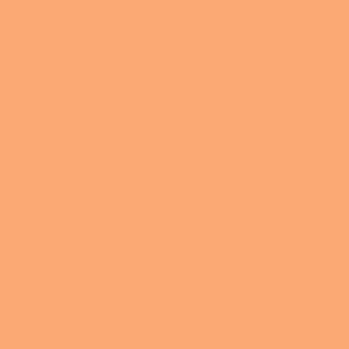LEE Filters 134 Golden Amber Lighting Gel Filter Sheet, 21"x 24"