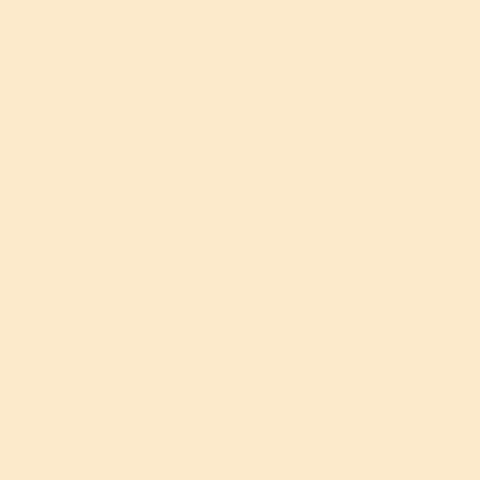 LEE Filters 103 Straw Lighting Gel Filter Sheet, 21"x 24"