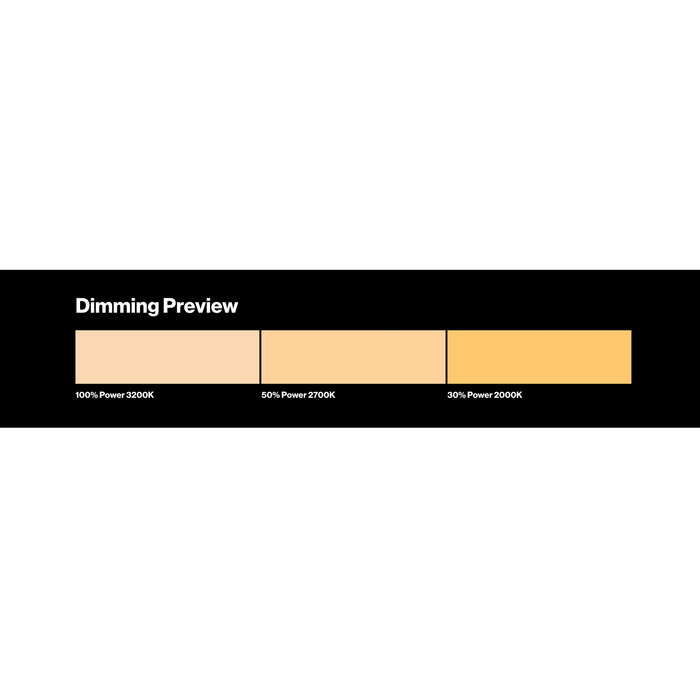 LEE Filters 009 Pale Amber Gold Lighting Gel Filter Sheet, 21"x 24"