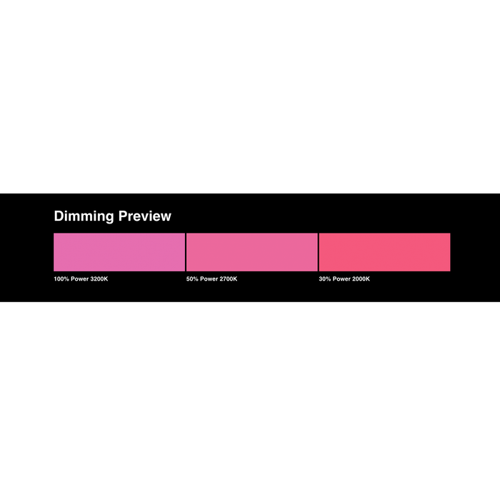 LEE Filters 048 Rose Purple Lighting Gel Filter Sheet, 21"x 24"