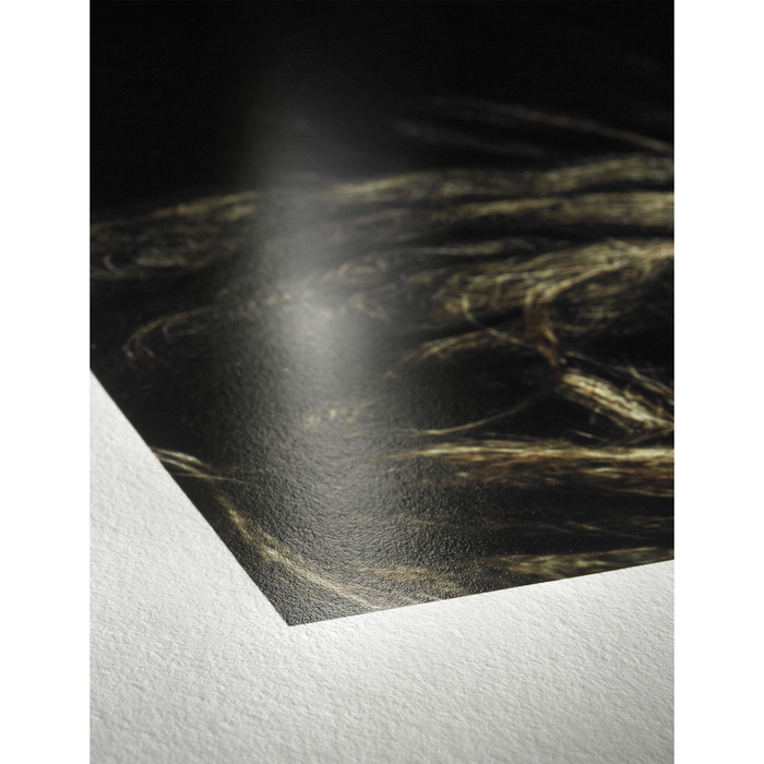 Hahnemühle Photo Rag Baryta Glossy FineArt Inkjet Paper 315, 17" x 39' - Roll