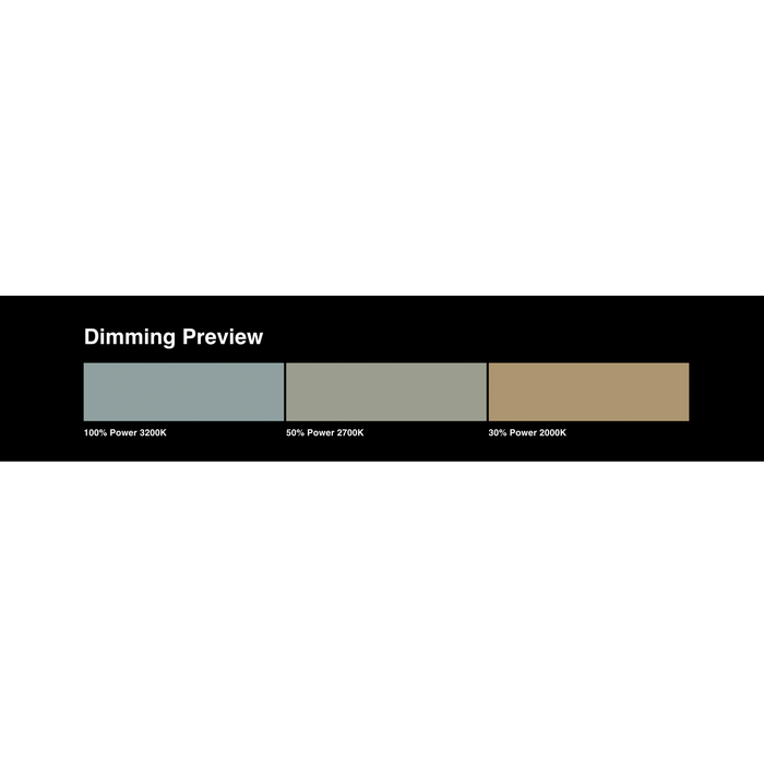 LEE Filters 601 Silver Lighting Gel Filter Sheet, 21"x 24"