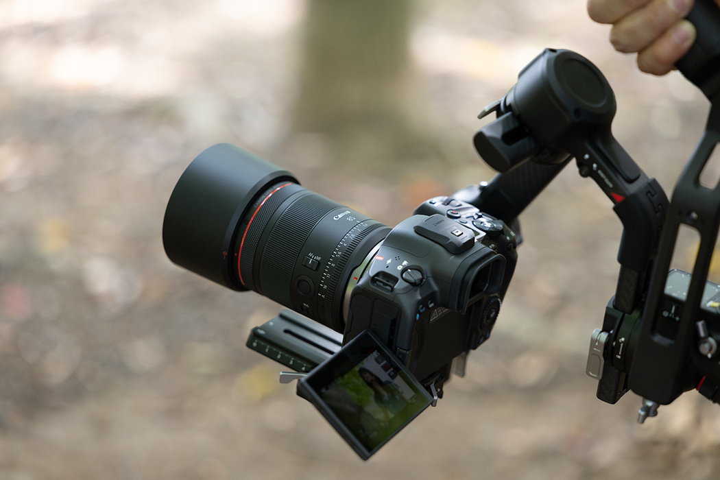 Canon RF 85mm f/1.4 L VCM Lens