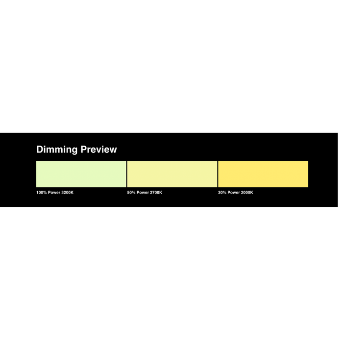 LEE Filters 244 Plus Green Lighting Filter Roll, 48" x 1' (Sold by the foot)