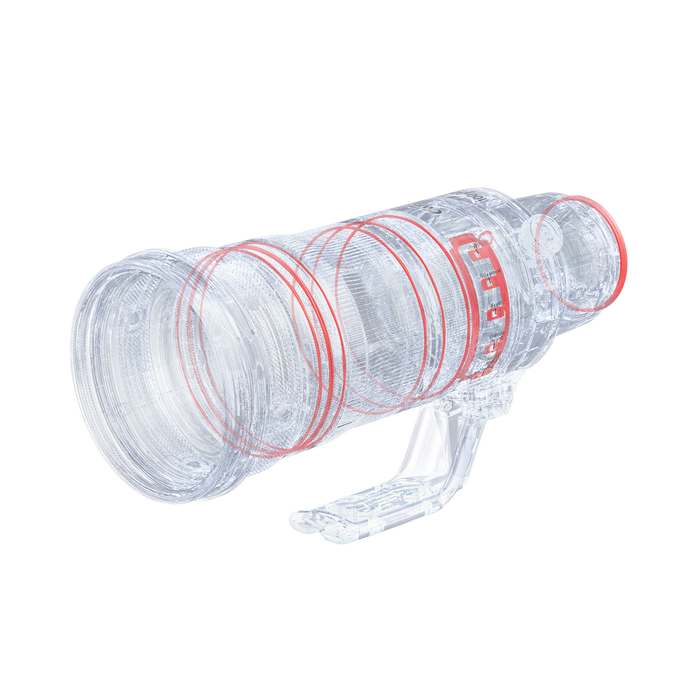 Canon RF 100-300mm f/2.8 L IS USM Lens