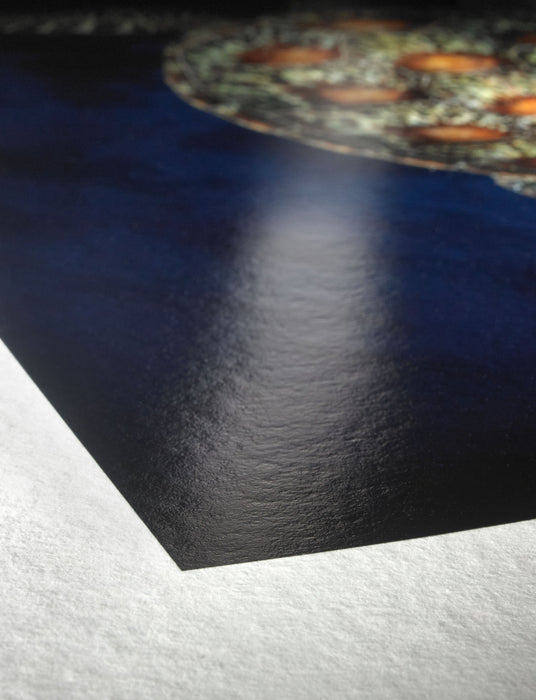 Hahnemühle FineArt Baryta Glossy FineArt Inkjet Paper 325, 24" x 39' - Roll
