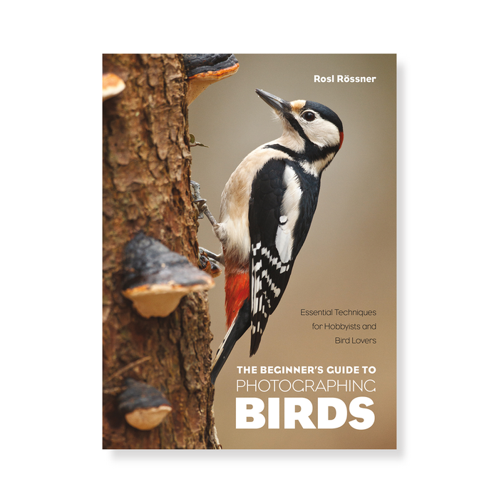 The Beginner's Guide to Photographing Birds: Essential Techniques for Hobbyists and Bird Lovers
