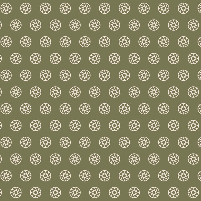 Aperture Gift Wrap, 10ft Roll - Landscape
