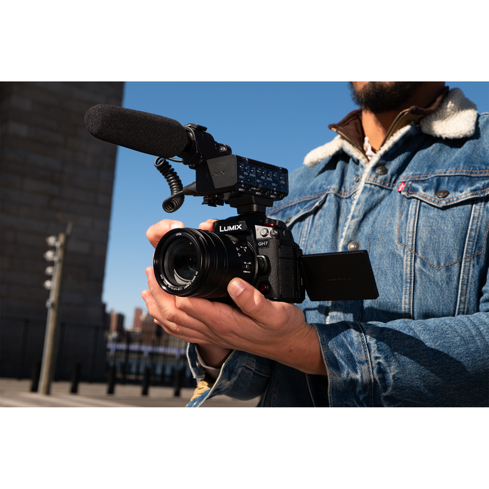 Lumix XLR Microphone Adapter - DMW XLR2