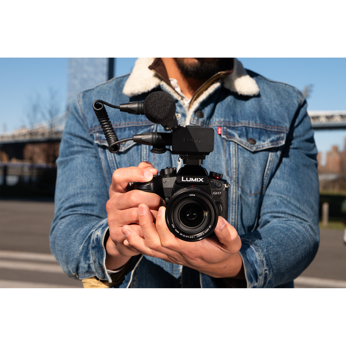 Lumix XLR Microphone Adapter - DMW XLR2