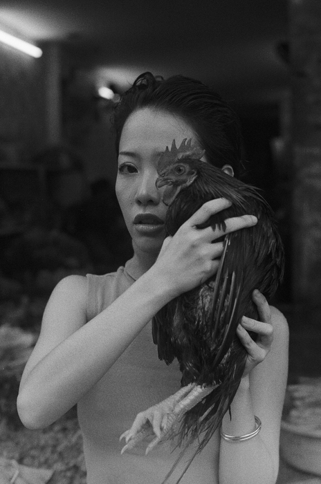 Mr. Negative Black Market 250 Black & White Negative - 35mm Film, 36 Exposures, Single Roll