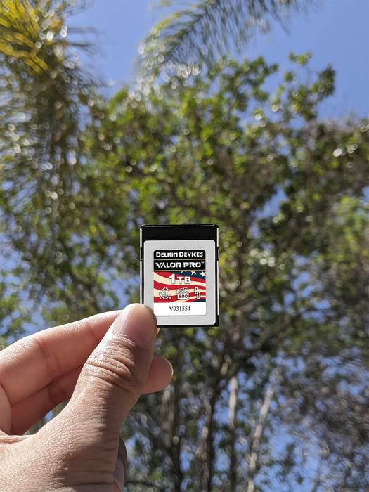 Delkin Devices 1TB VALOR CFexpress Type B 4.0 VPG800 Memory Card