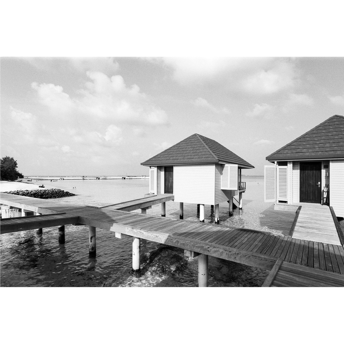 Ilford Delta 100 Professional Black & White Negative - 35mm Film, 36 Exposures, Single Roll