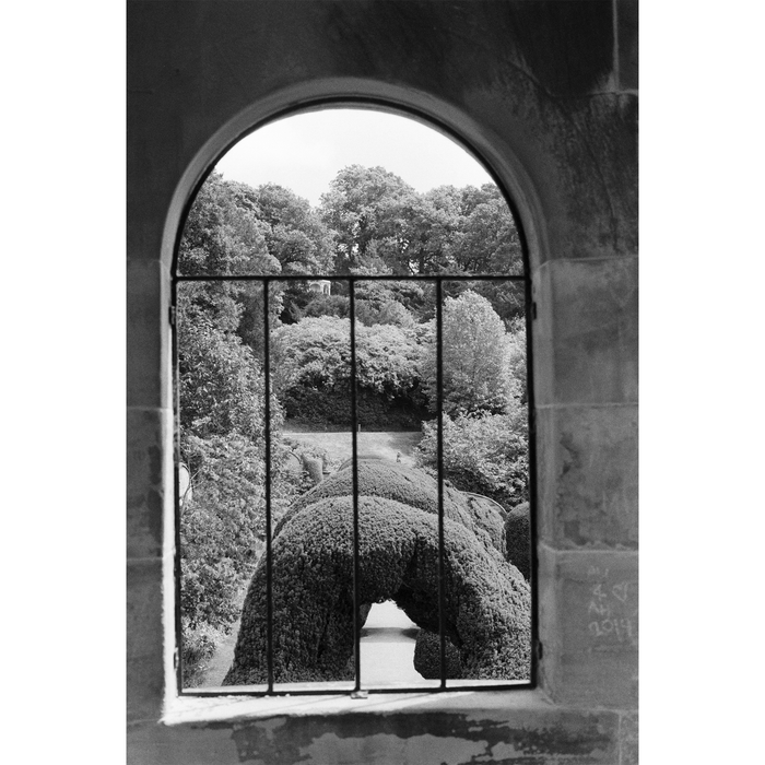 Ilford Delta 400 Professional Black & White Negative - 35mm Film, 24 Exposures, Single Roll