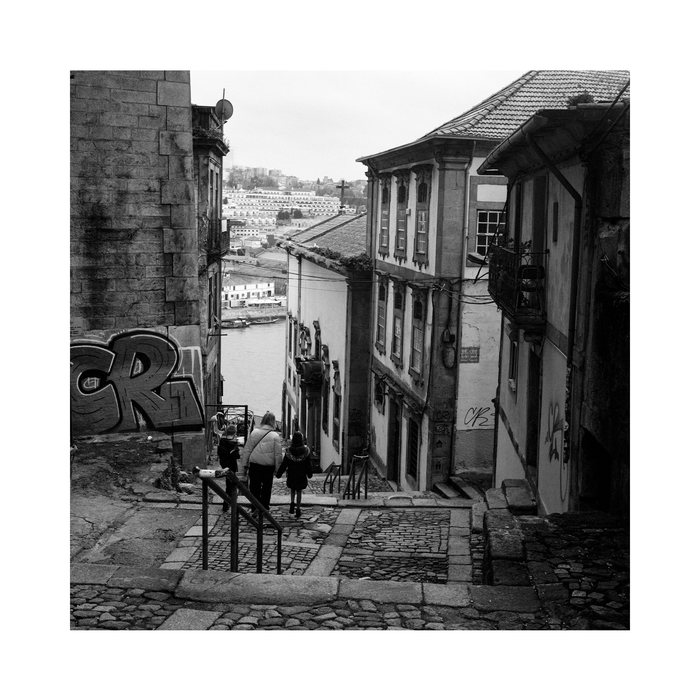 Ilford Delta 400 Professional Black & White Negative - 120 Film, Single Roll
