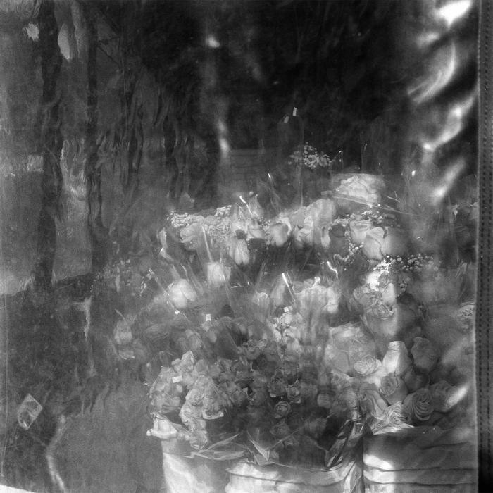 Ilford Delta 3200 Professional Black & White Negative - 120 Film, Single Roll