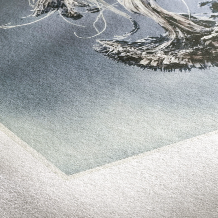 Hahnemühle Sample Pack FineArt Textured Matte Inkjet Paper, 13 x 19" - 5 Qualities / 10 Sheets