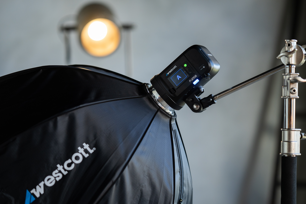 Westcott FJ250 Strobe 2-Light Backpack Kit with FJ-X3 Sony Wireless Trigger