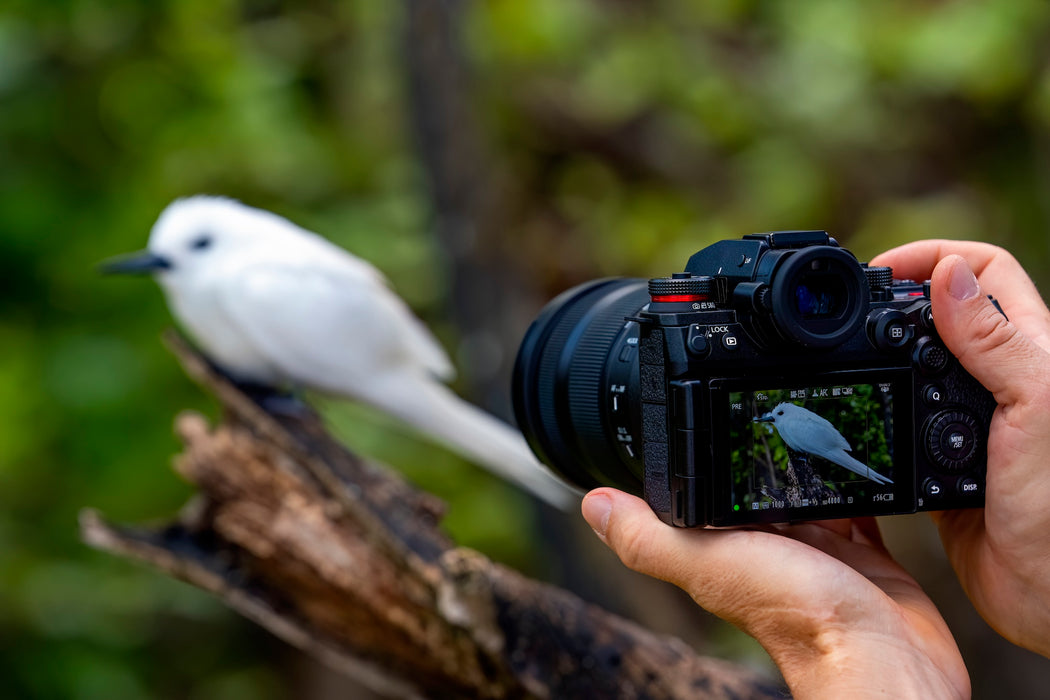 Lumix S1RII Mirrorless Camera