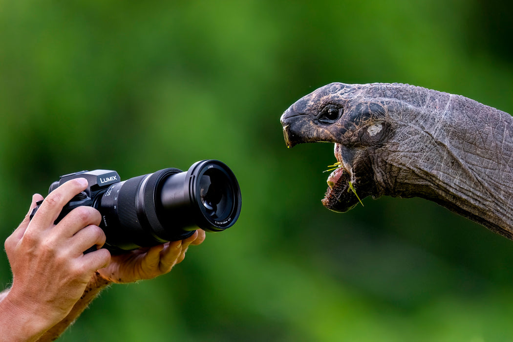Lumix S1RII Mirrorless Camera