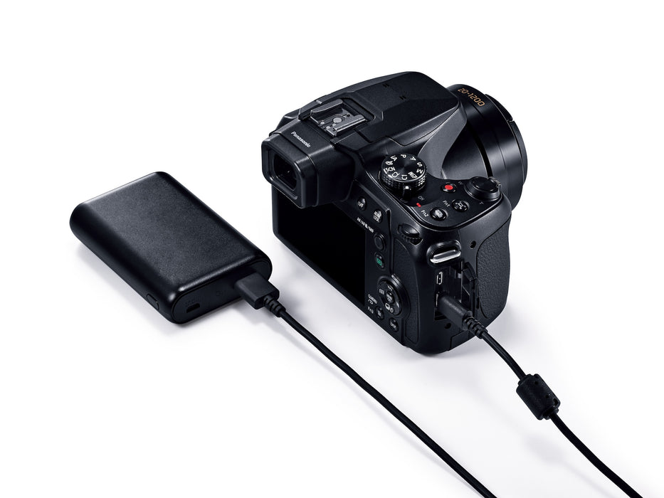 Lumix FZ80D Compact Camera