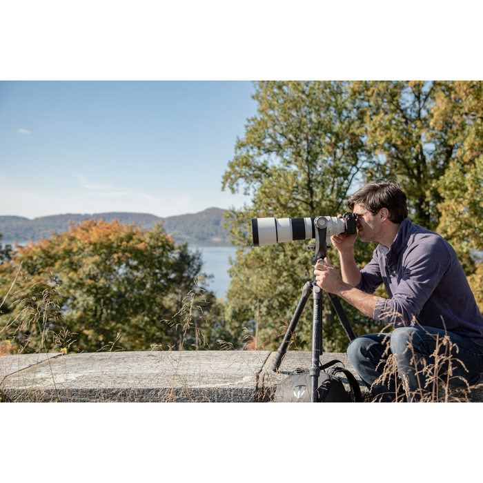 Benro GH5CMINI Gimbal Carbon Fiber Head