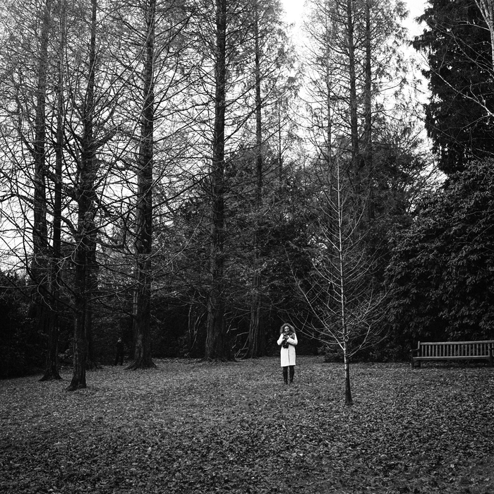 Ilford HP5 Plus 400 Black & White Negative - 120 Film, Single Roll