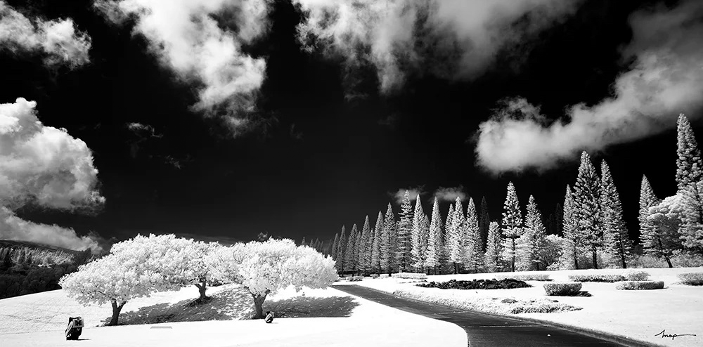 Hoya 82mm R72 Infrared Dark Red Filter