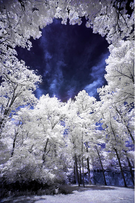 Hoya 82mm R72 Infrared Dark Red Filter