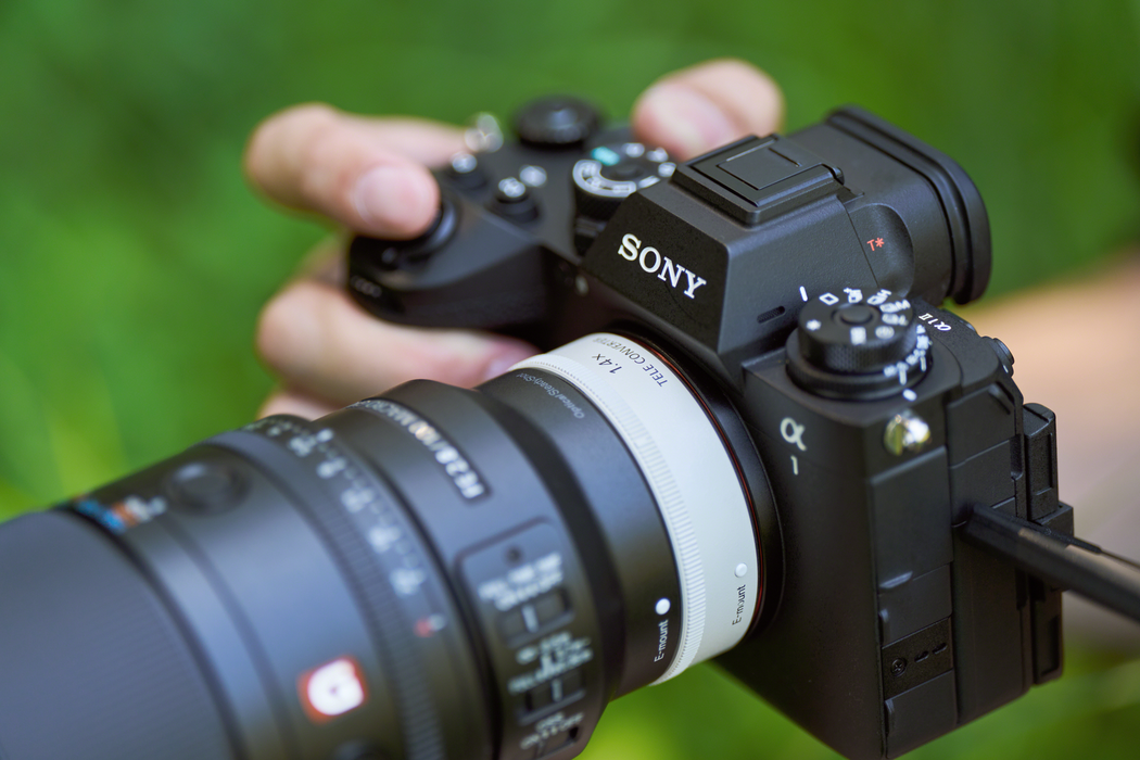 Sony FE 100mm f/2.8 Macro GM OSS Lens