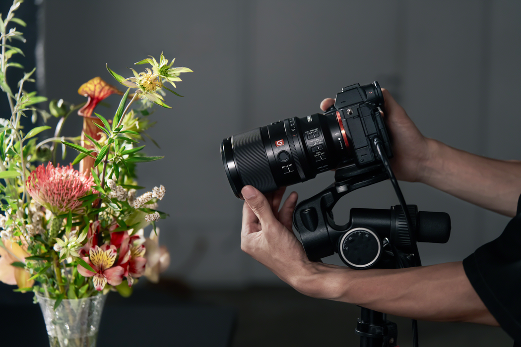 Sony FE 100mm f/2.8 Macro GM OSS Lens