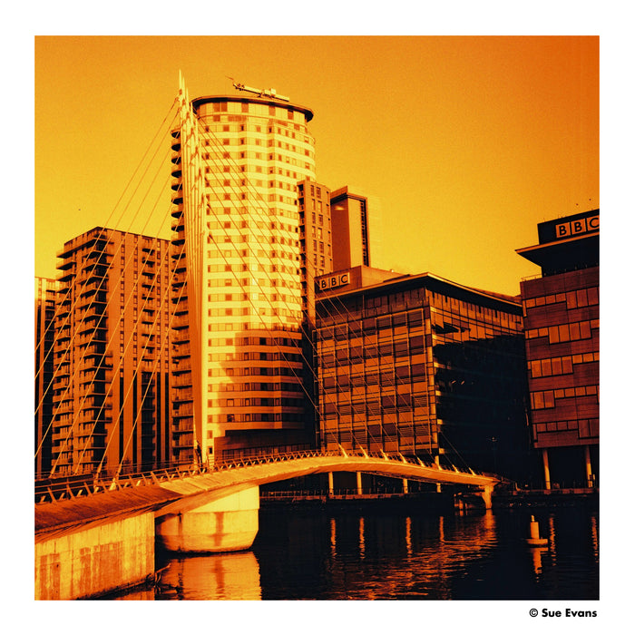 Harman Red 125 Redscale Color Negative - 120 Film, Single Roll