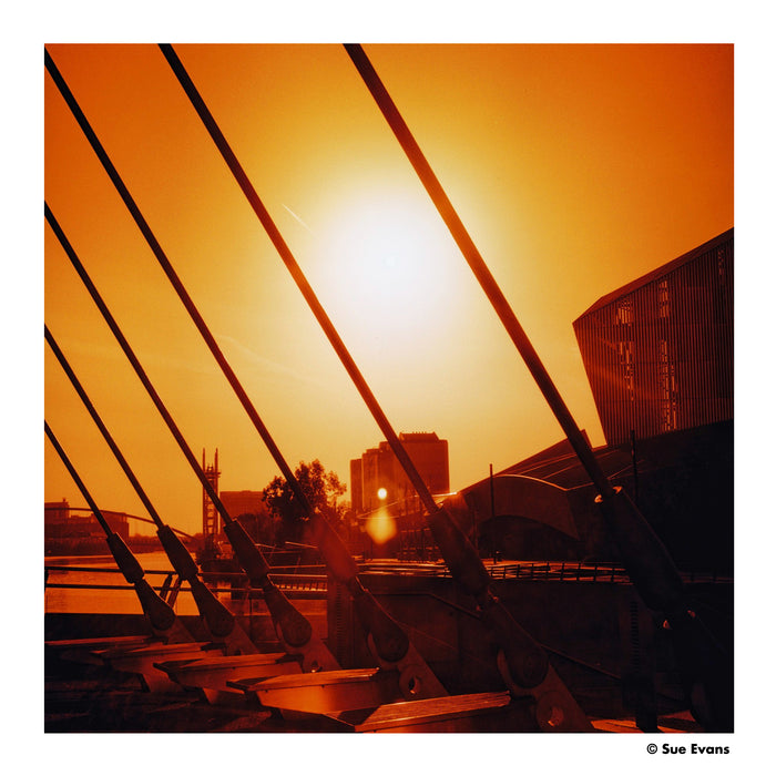 Harman Red 125 Redscale Color Negative - 120 Film, Single Roll