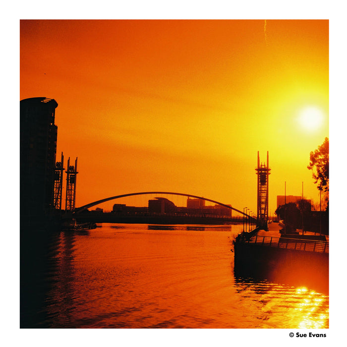 Harman Red 125 Redscale Color Negative - 120 Film, Single Roll