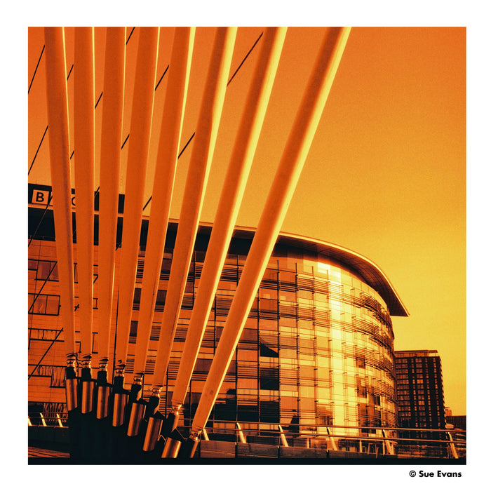 Harman Red 125 Redscale Color Negative - 120 Film, Single Roll