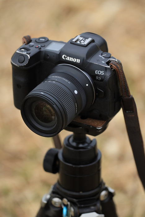 Sigma 18-50mm f/2.8 DC DN Contemporary Lens - RF Mount