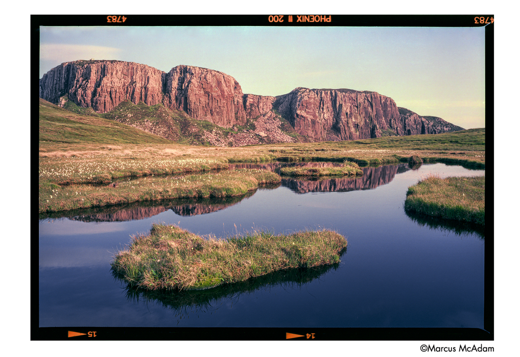 Harman Phoenix II 200 Color Negative - 35mm Film, 36 Exposures, Single Roll