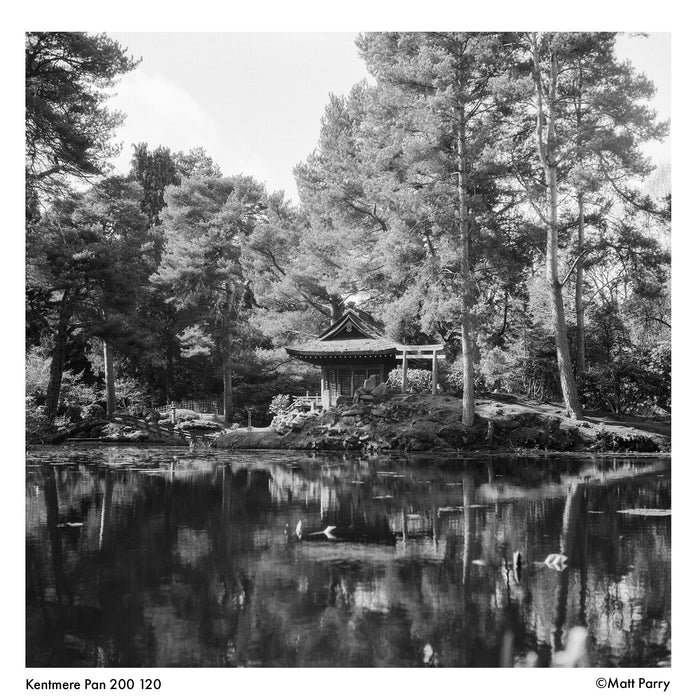 Kentmere Pan 200 Black & White Negative - 120 Film, Single Roll