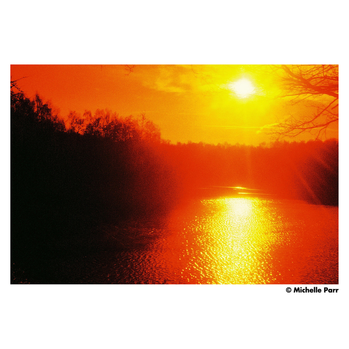 Harman Red 125 Redscale Color Negative - 35mm Film, 36 Exposures, Single Roll