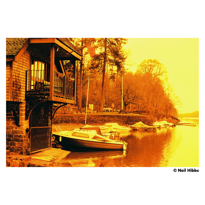 Harman Red 125 Redscale Color Negative - 35mm Film, 36 Exposures, Single Roll