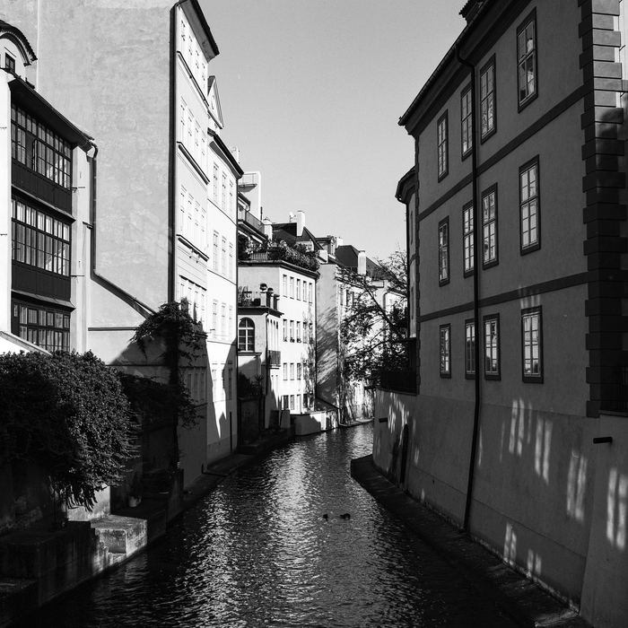 Ilford Ortho Plus 80 Black & White Negative - 120 Film, Single Roll